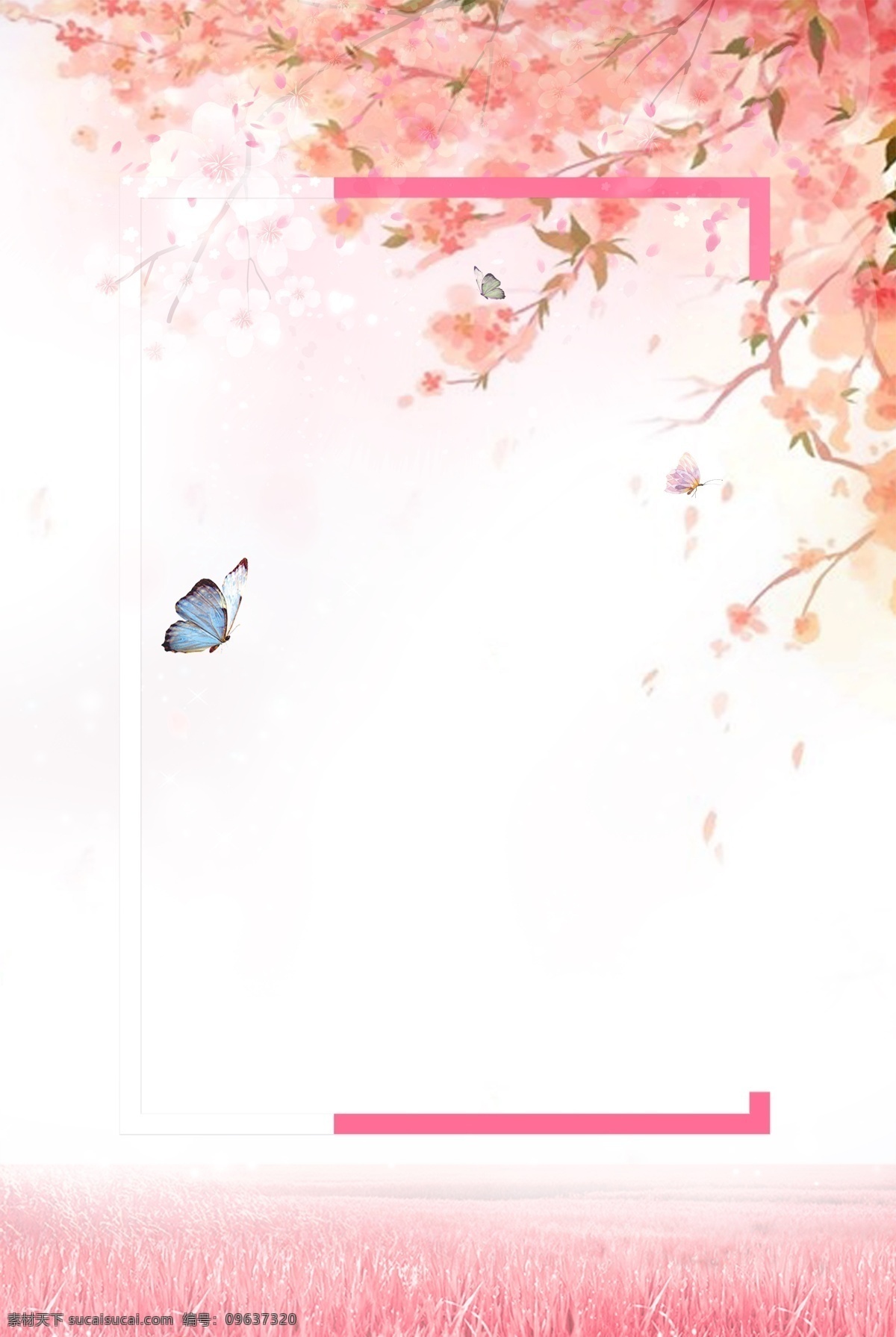 唯美 浪漫 樱花 花朵 季 背景 樱花节 边框 清新 手绘 卡通 樱花季