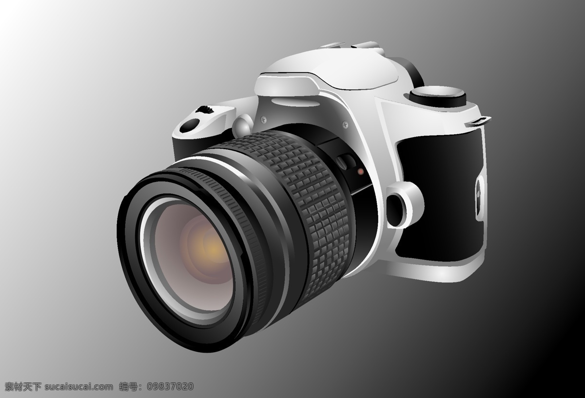 单反 相机 矢量图 相机设计 单反镜头 相机模型 其他矢量图