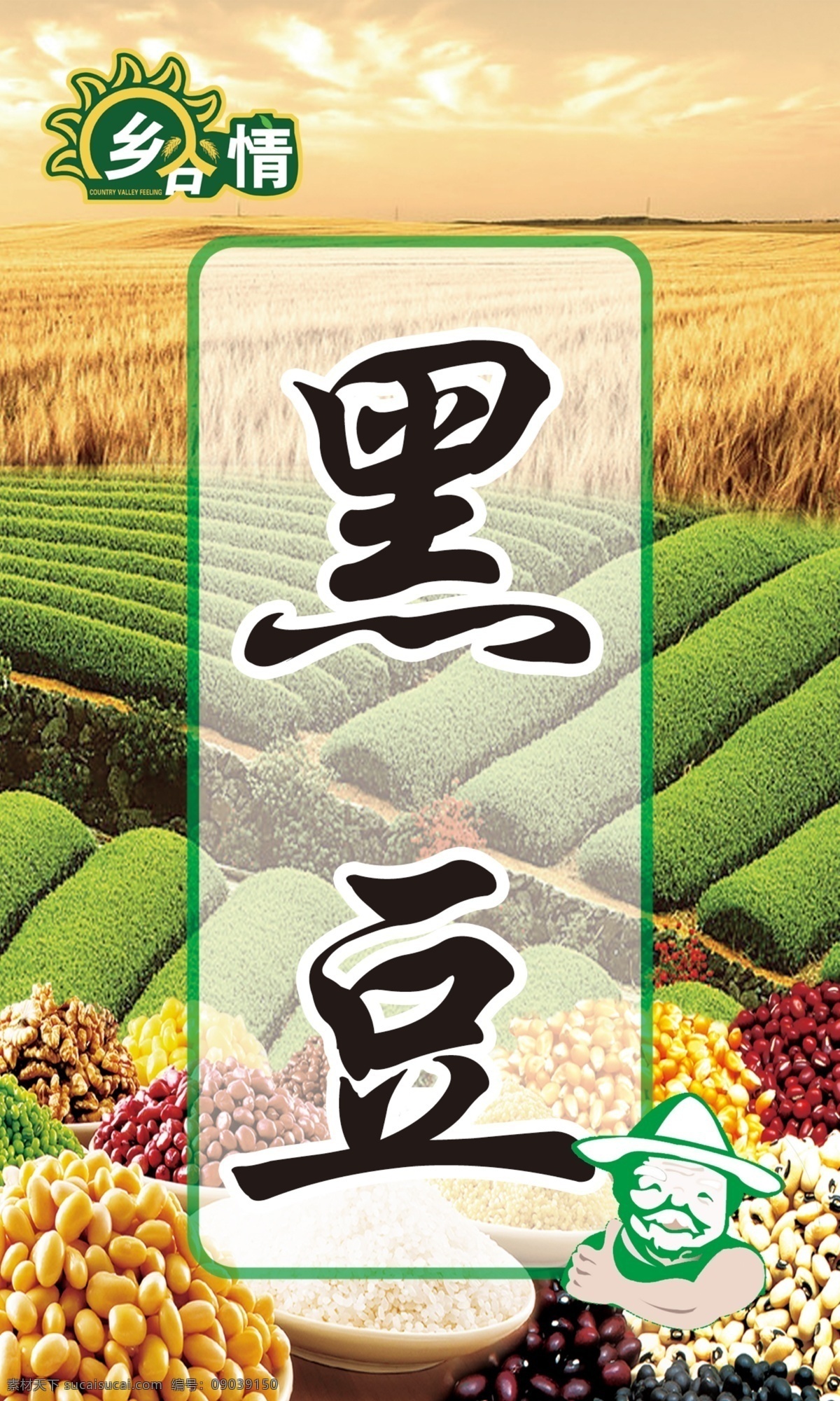 黑豆标签 标签 植物 粮食作物 粮食 豆类 招贴设计