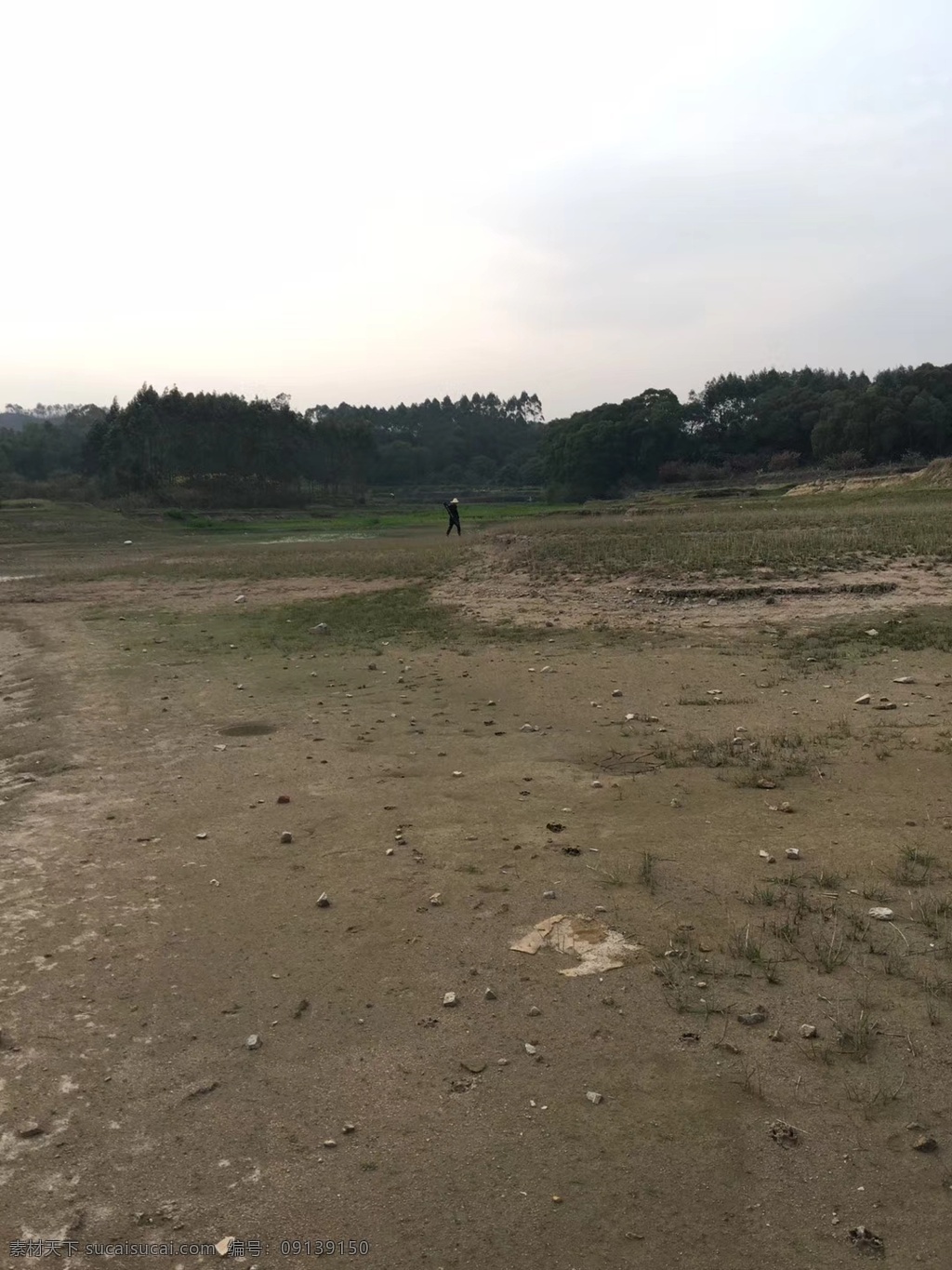 田园荒地 田园 荒 荒地 野草 自然景观 自然风景
