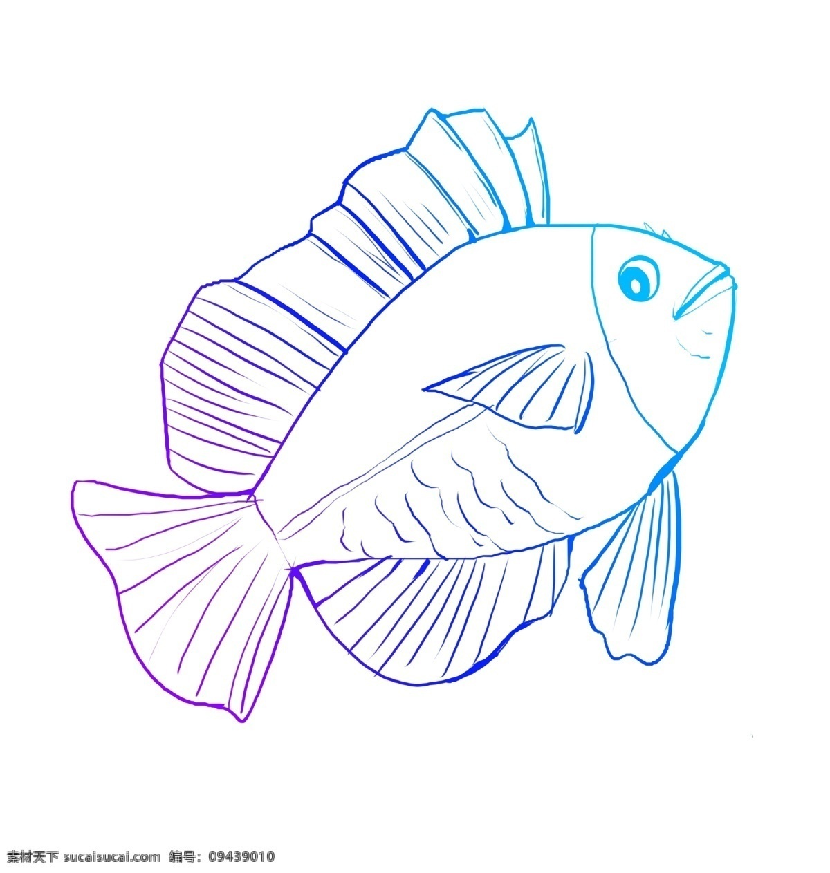 蓝色线描小鱼 海洋 生物 动物
