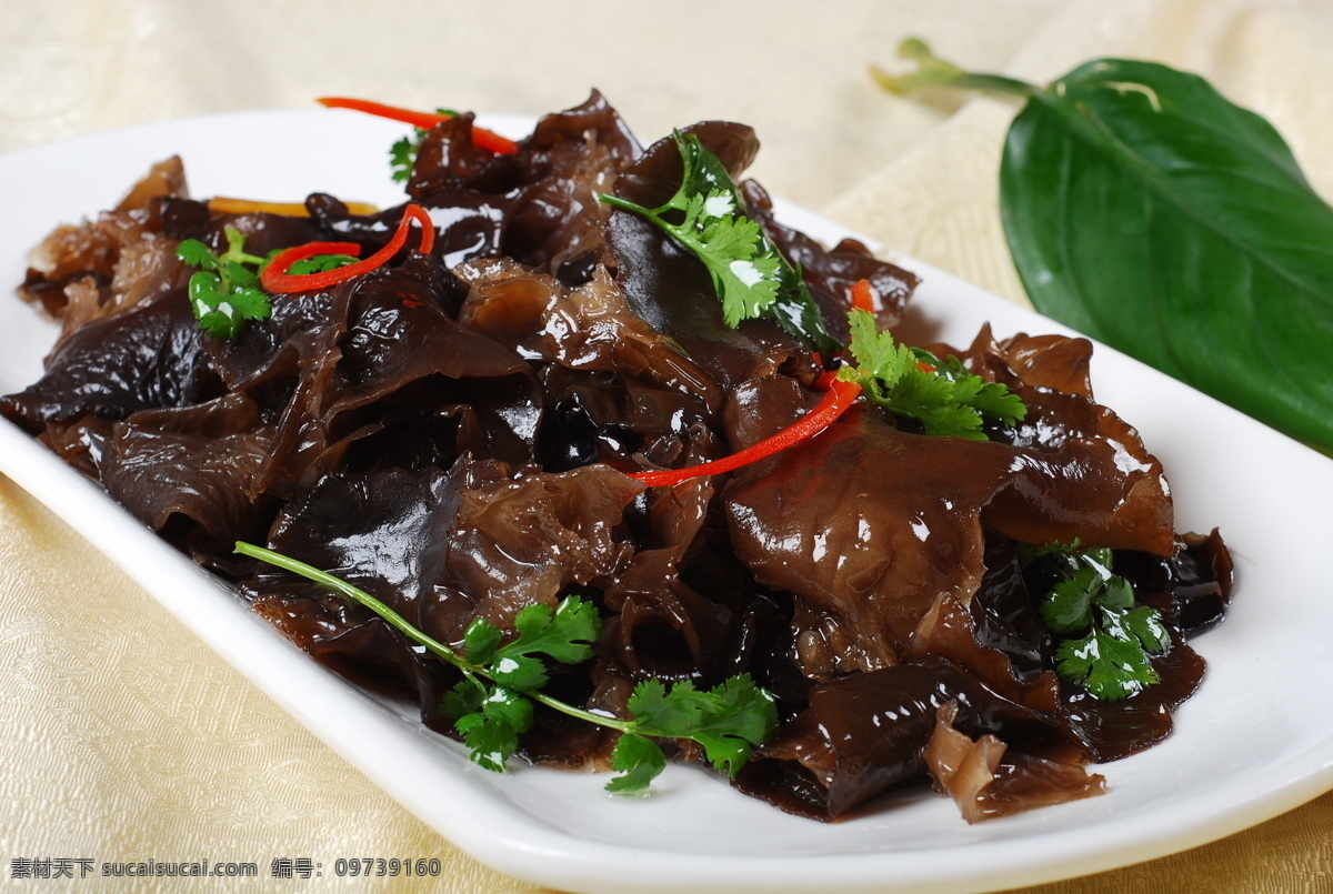 醋溜黑木耳 木耳 凉菜 凉拌 中国菜 家常菜 凉拌木耳 凉拌黑木耳 酸辣木耳 野生木耳 醋溜木耳 凉拌小木耳 爽口黑木耳 凉拌秋耳 洋葱拌木耳 木耳拌洋葱 高清菜谱用图 餐饮美食 传统美食