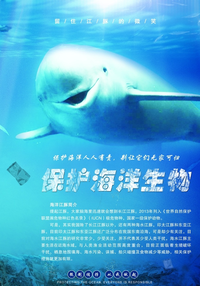 海洋保护图片 海洋 野生动物 保护海洋 环保 保护海洋生物 大海 江豚 分层