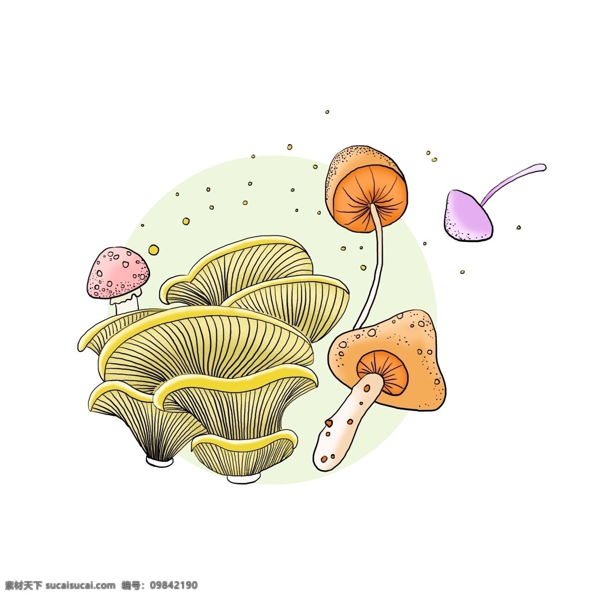春天 各种 蘑菇 手绘 装饰 花蘑菇 红蘑菇 黄蘑菇 美味蘑菇 蘑菇装饰 手绘蘑菇