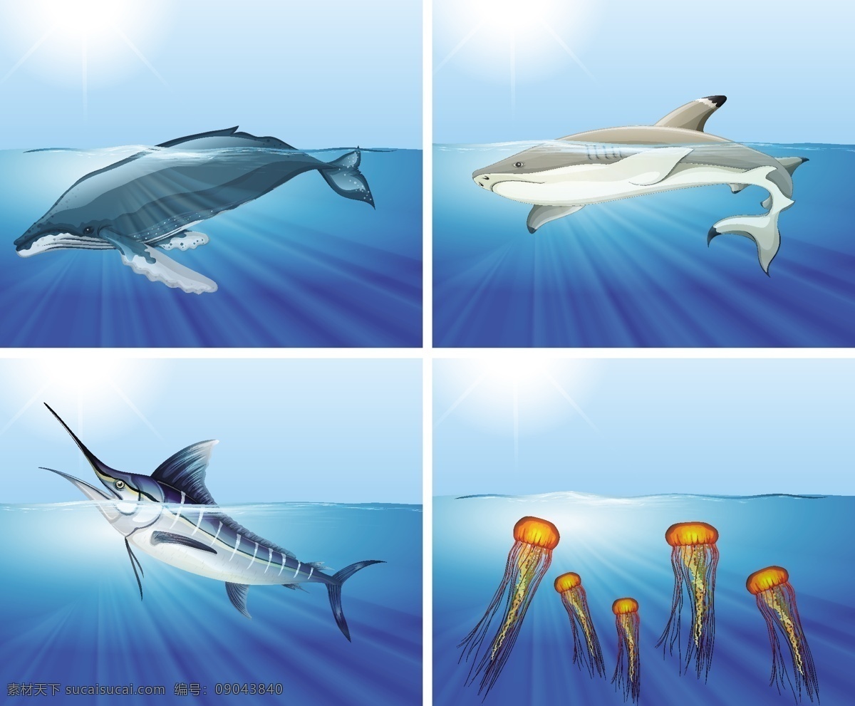 海里 鲨鱼 海洋 动物 自然 鱼类 艺术 绘画 插图