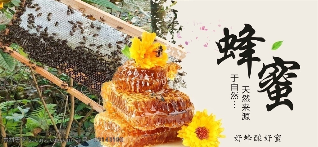 野生蜂蜜 美食 美容 养颜 中医 养生 保健 中药材 中草药 中国风 海报 展架
