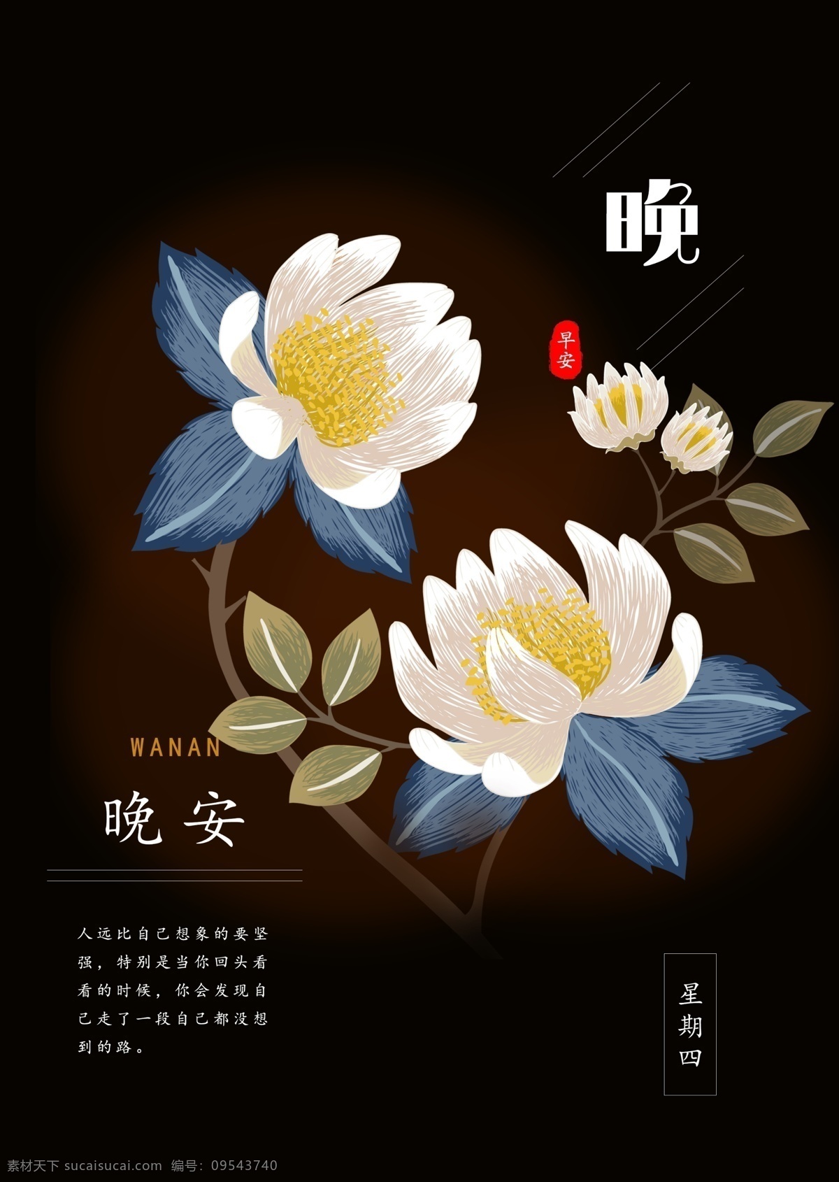 晚安 简约 手绘 花 周四 励志 宣传 图 手绘花 昙花 海报 励志海报 晚安海报