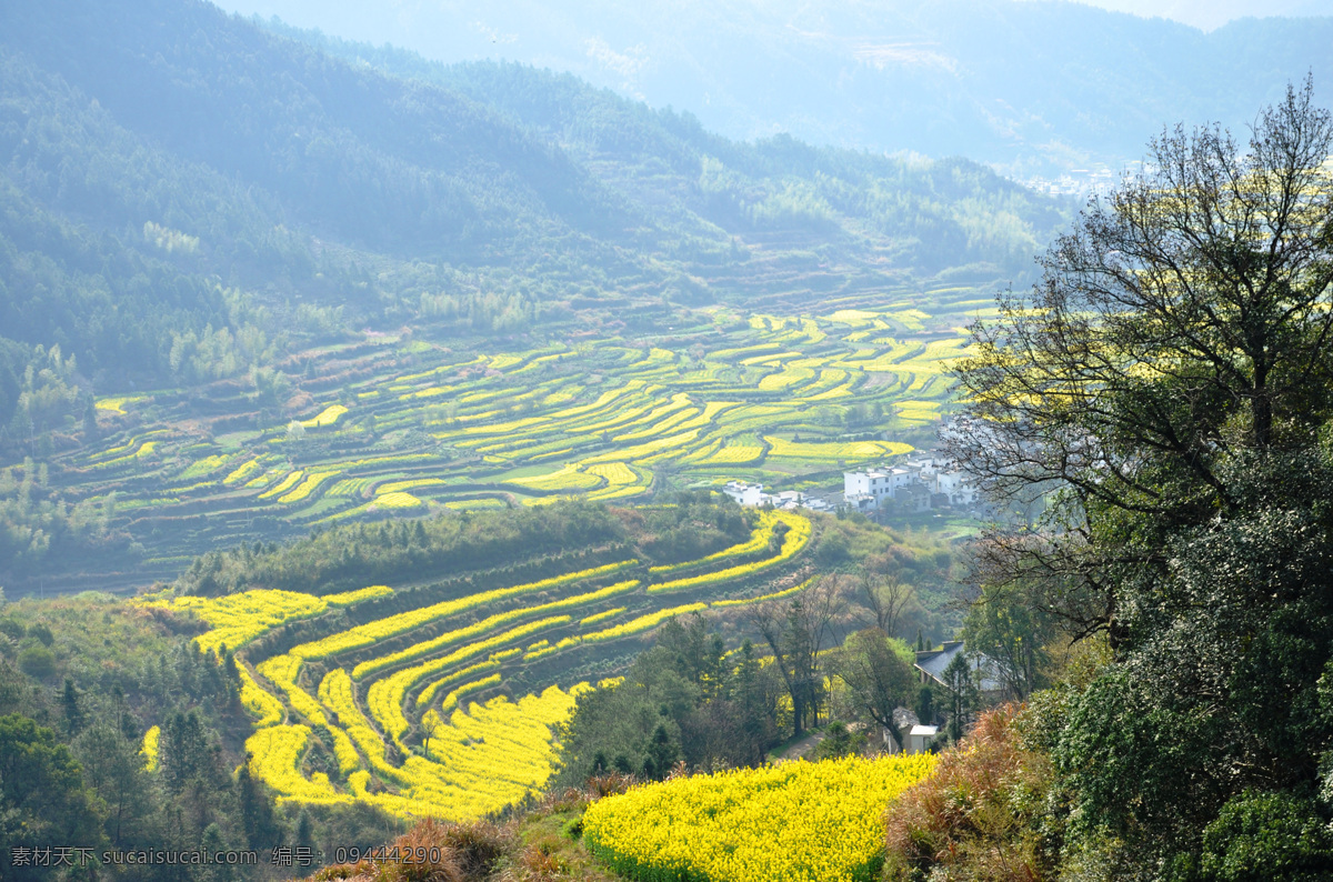 婺源乡村 婺源 黄花 乡村 徽派建筑 山林 旅游摄影 国内旅游 灰色