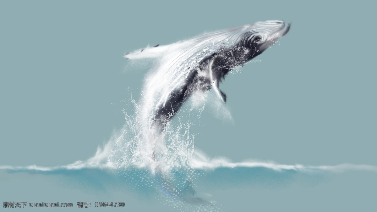 深海 鲸鱼 插画 元素 海洋 背景 壁纸 手绘 鲸鱼插画 写实 冲出水面 治愈系