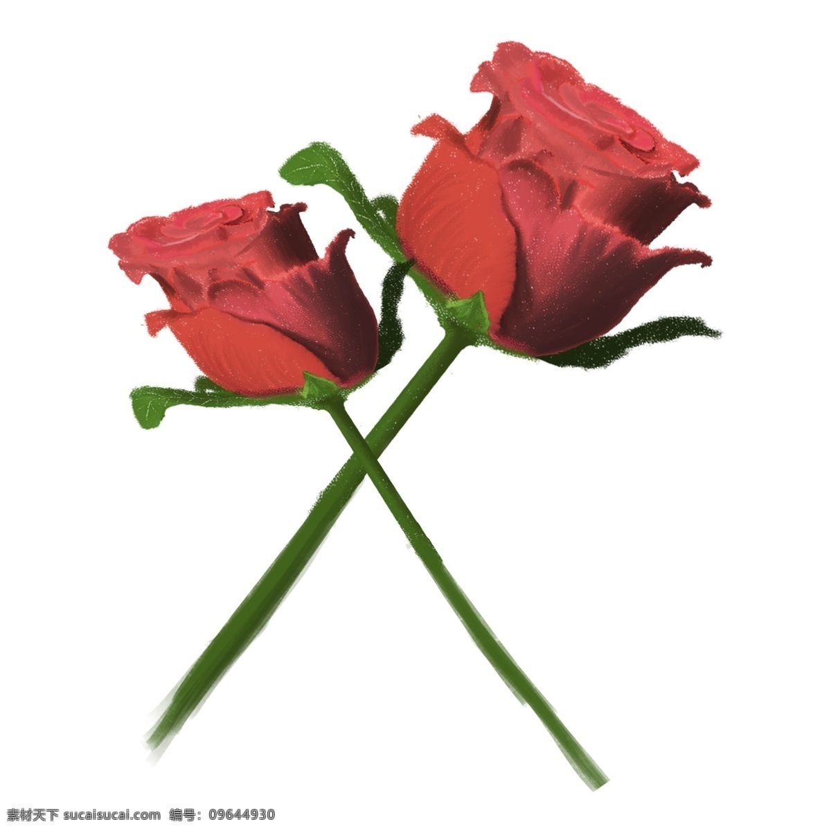 手绘 玫瑰 花卉 透明 水彩 免 扣 花朵 透明素材 玫瑰花卉 卡通素材