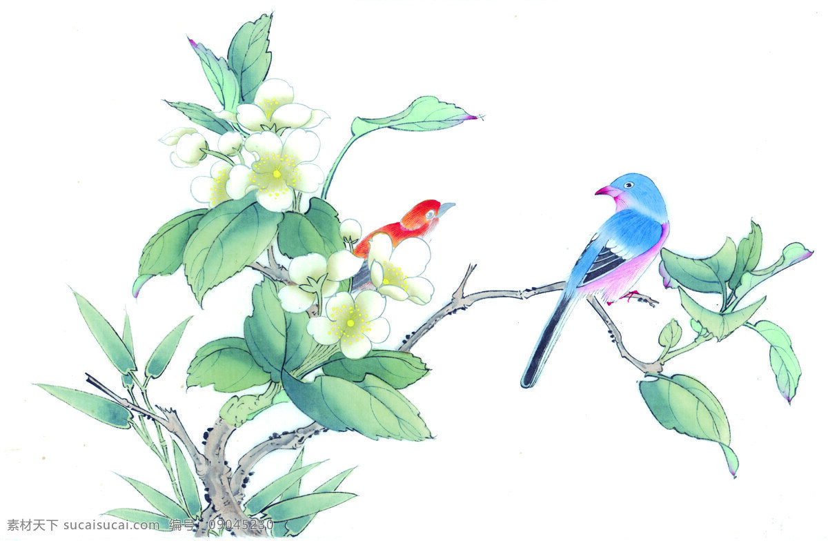 中国 风 花 牡丹 芍药 桃花 喜鹊 小鸟 中国风 中华艺术绘画 文化艺术