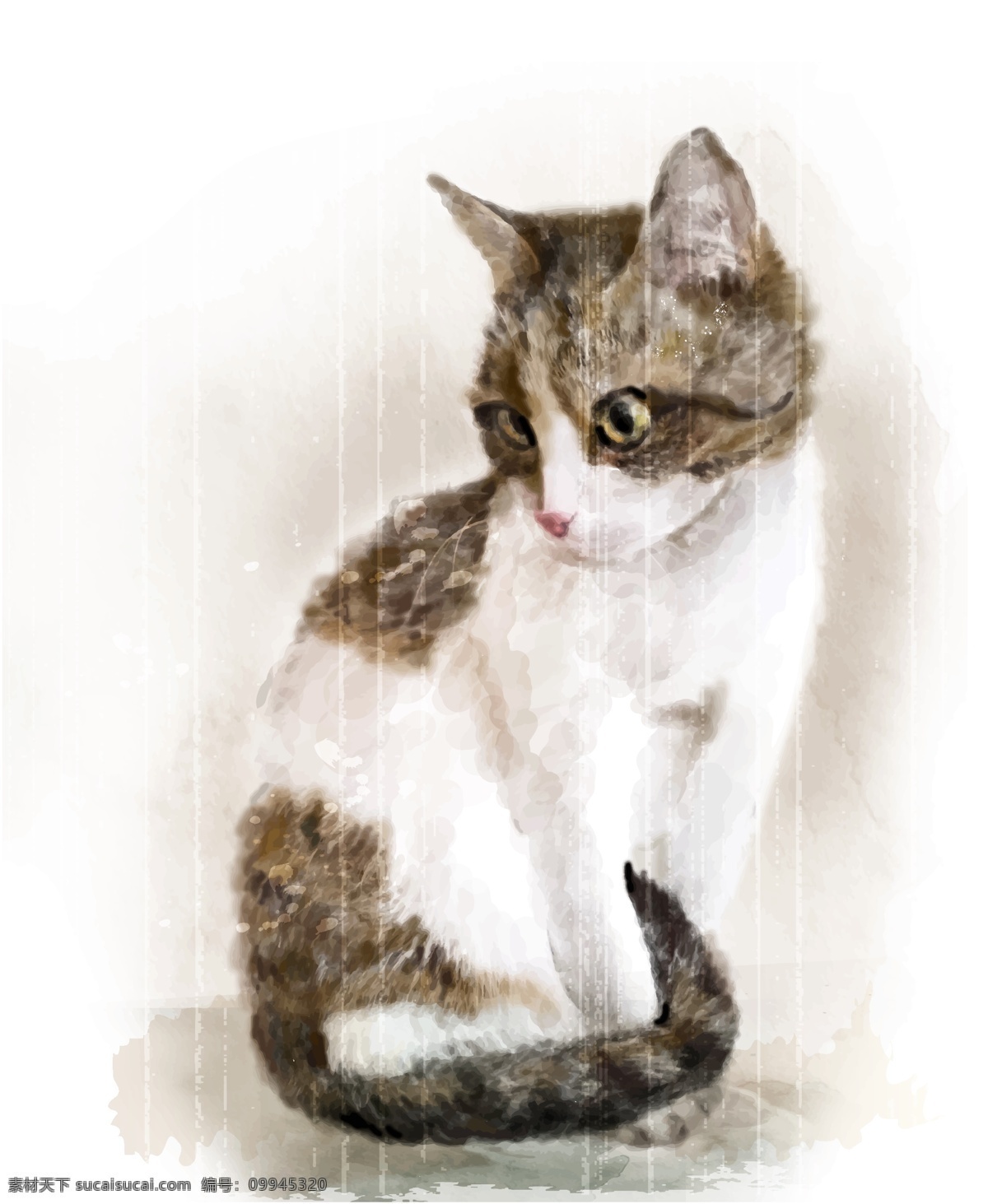 水彩绘小猫咪 动物 可爱 水彩绘 小猫咪
