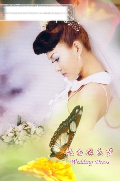 婚纱免费下载 psd源文件 婚纱 婚纱照 模板 ps 相册 艺术照 纯白嫁衣梦 儿童 写真