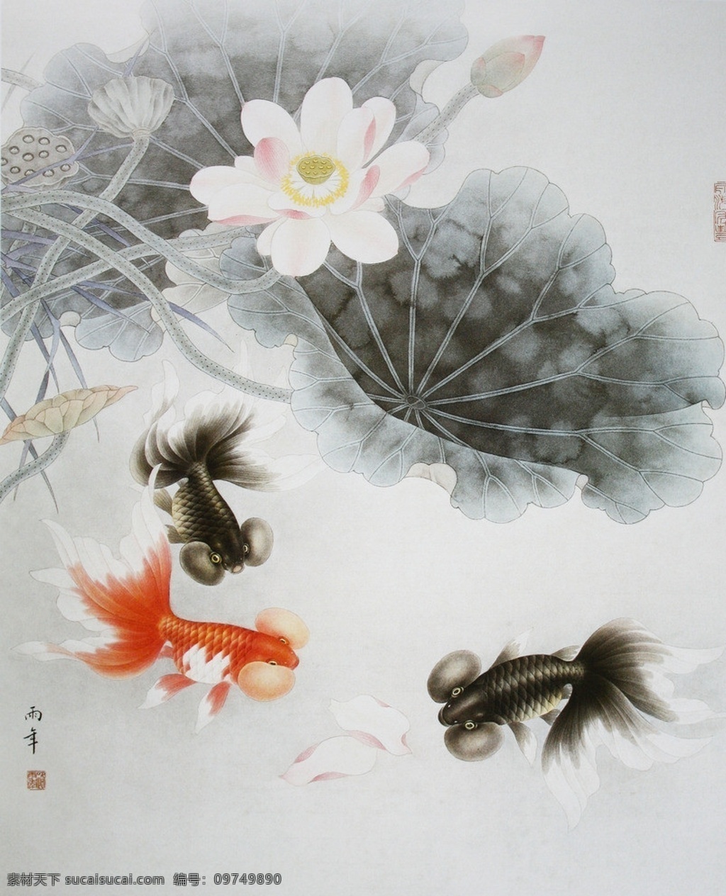 路 雨 年 工笔 鱼类 选集 金鱼 荷花 水草 美图 路雨年 工笔花鸟 绘画书法 文化艺术
