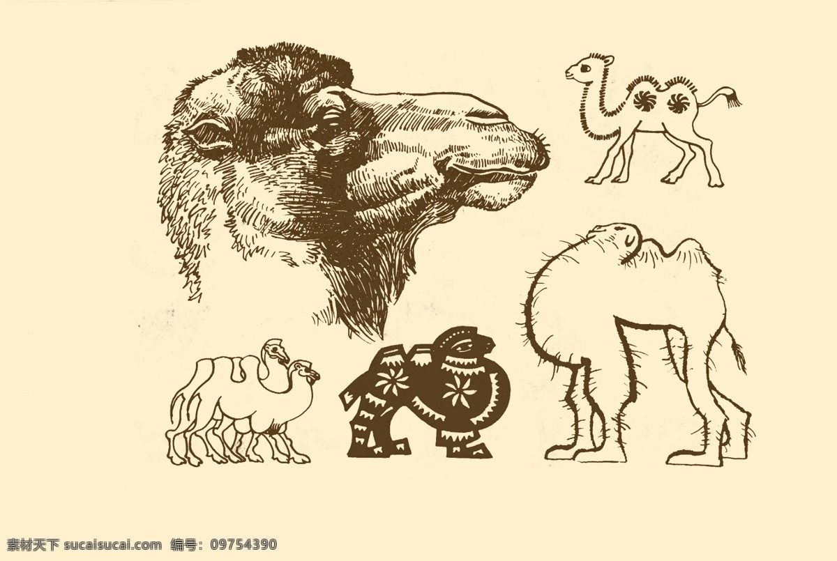 动物图案 骆驼 卡通 动物 纹样 图案 白描 简笔画 儿童画 分层 源文件