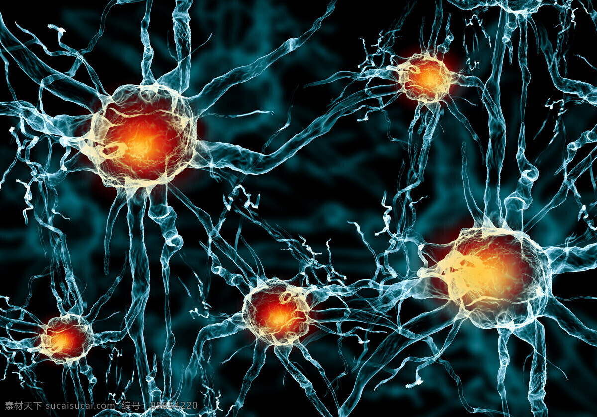 神经细胞 神经系统 神经纤维 医学 医疗卫生科学 细胞图片 现代科技