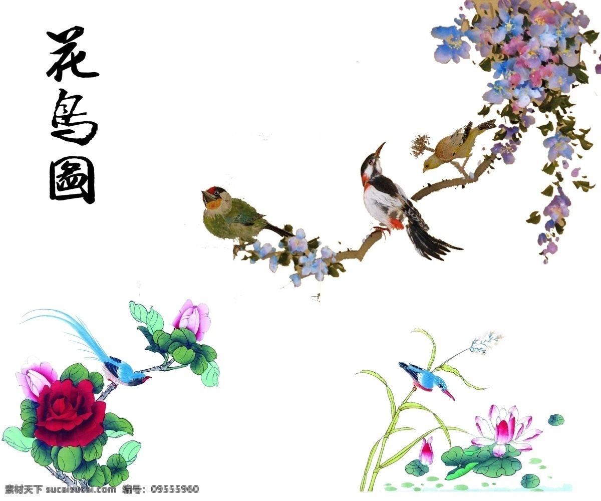 花鸟图 花鸟 分层 鸟 猴年 白色