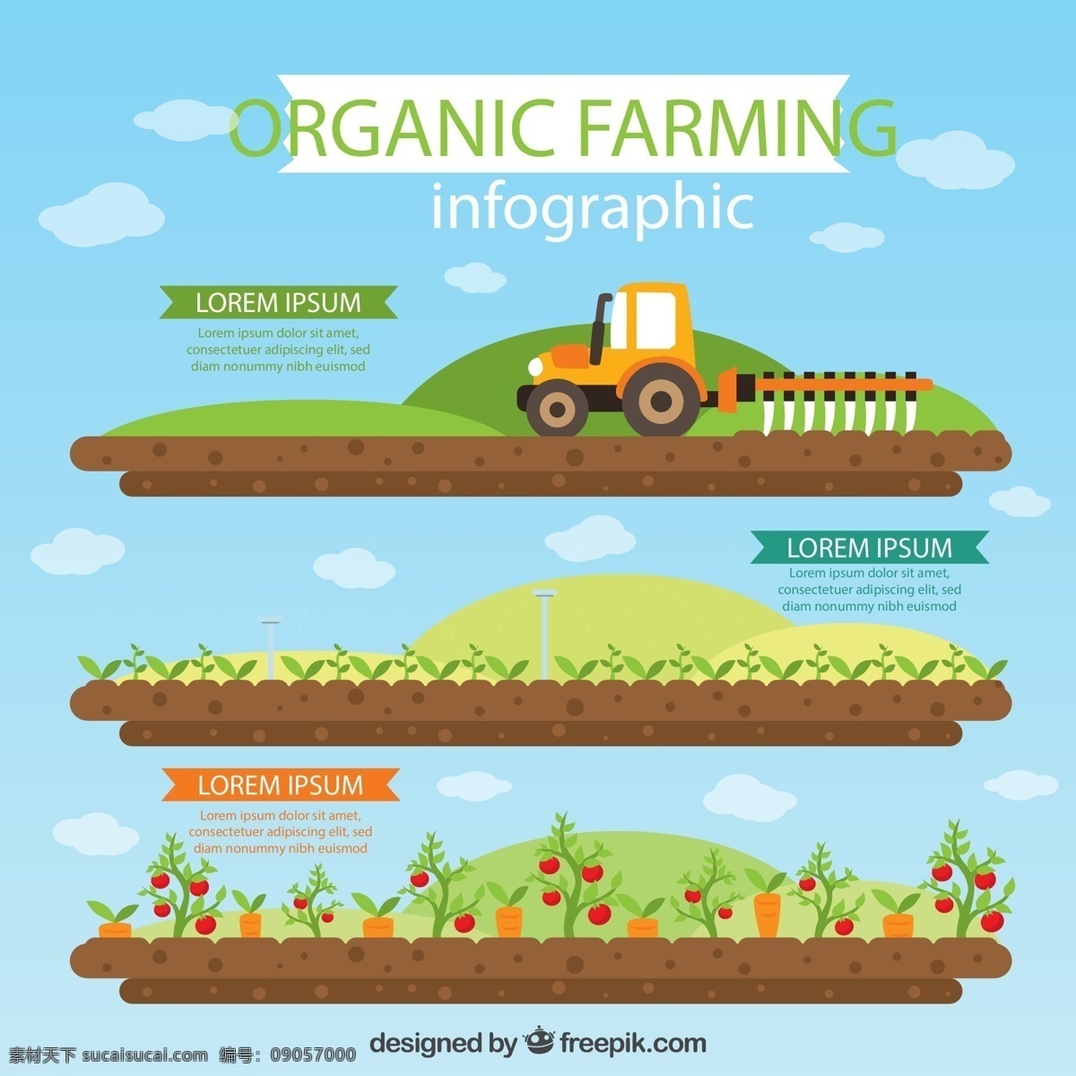 绿色 农场 信息 图 农用犁地机 播种机 幼苗 灌溉 蔬菜 西红柿 矢量 高清图片