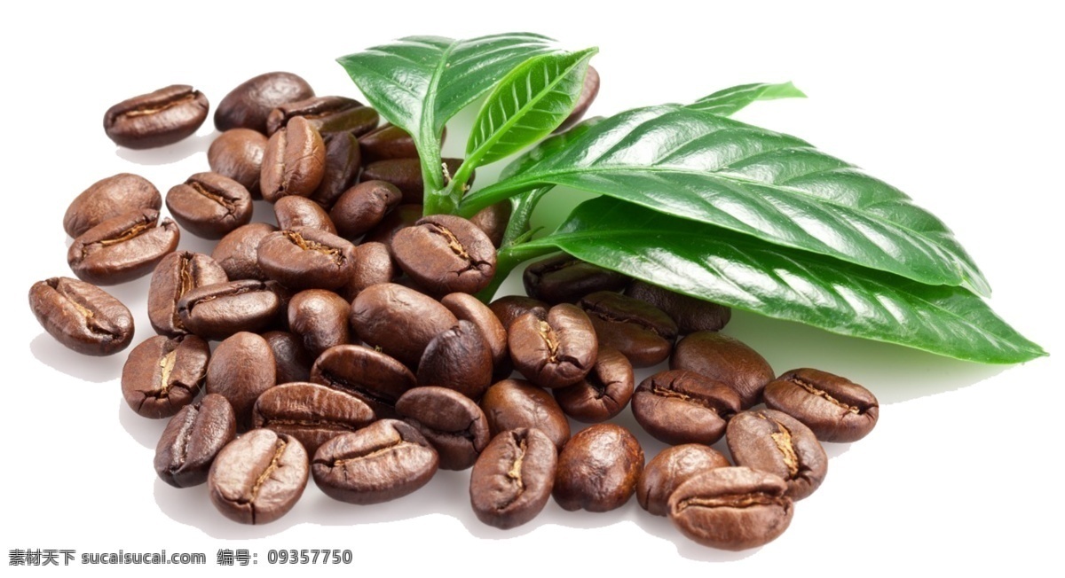 高清 褐色 咖啡豆 免 抠 透明 元素 图形 咖啡海报图片 咖啡广告素材 咖啡海报图