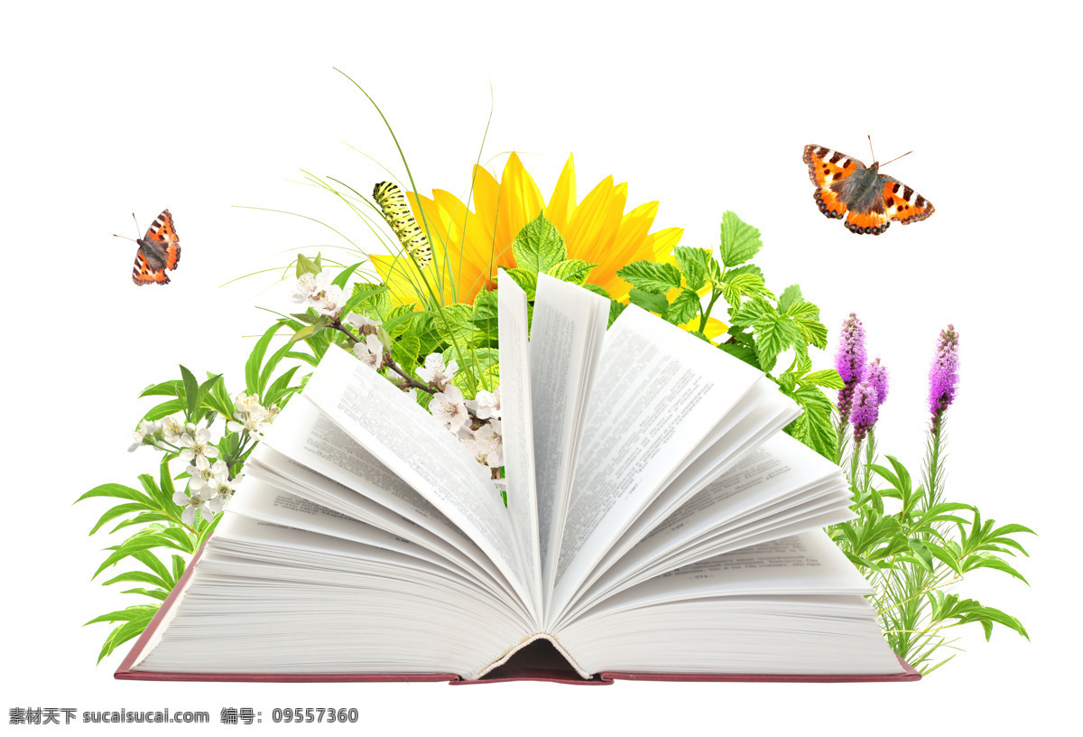 书本 鲜花 蝴蝶 翻开的书 学习 知识 创意 抽象 花朵 办公学习 生活百科 白色