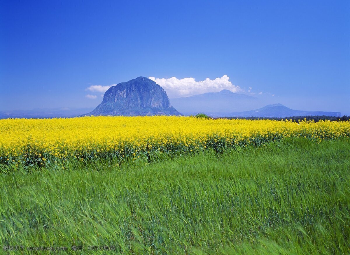 自然美景 自然景观 自然 景观 风景 景象 蓝天绿草 翠绿的山 美景 山谷 松树 林子 树林 自然风景 拍摄 小溪 河水 江湖 蓝天 白云 岩石 木板 青山 碧水 青山碧水 美景美物 景观景物 海上落日 西北落日风景 海边落日 海岸落日 夕阳晚霞 海上落日余晖 山水风景