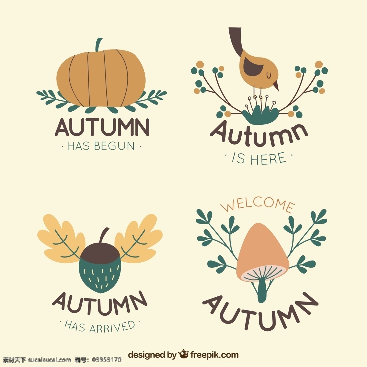 秋天的标志集 标志 树叶 自然 秋天 元素 颜色 温暖 树枝 秋天的树叶 季节 包装 秋天的叶子 收集 落叶 暖色
