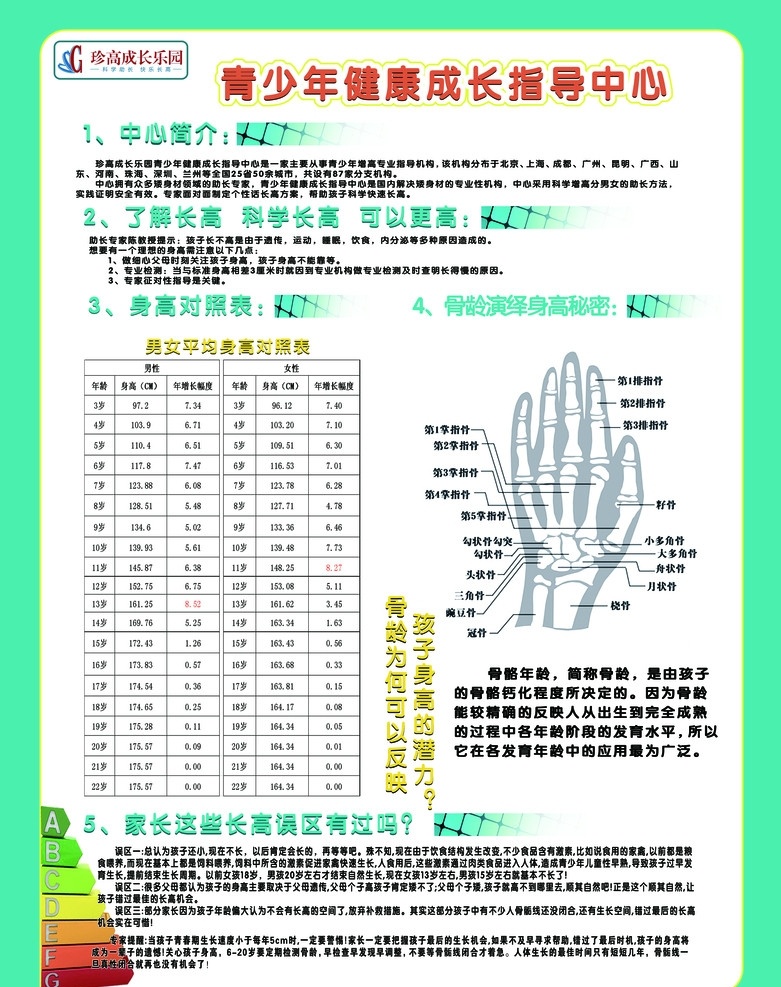 青少年 健康指导 形象 墙 男女 平均 身高 对照表 手的骨骼图 青少年身高 展板模板 广告设计模板 源文件