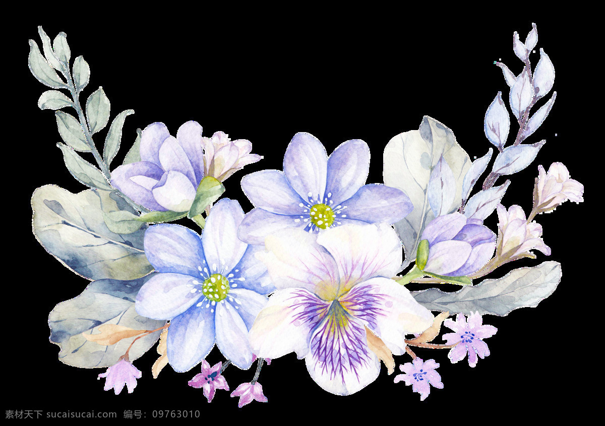 清新 喇叭花 透明 花朵 紫色 蓝色 透明素材 免扣素材 装饰图案