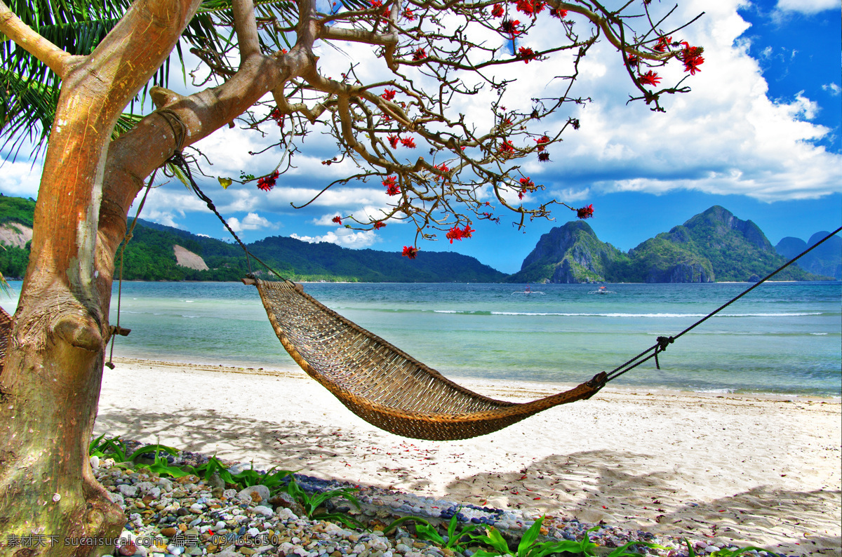 海滩 吊床 沙滩 海景 美景 风景 海边 海洋 大树 旅游 度假 蓝天 白云 景观 加勒比海 夏威夷 休闲 景色 梦幻 美丽自然 自然风景 自然景观