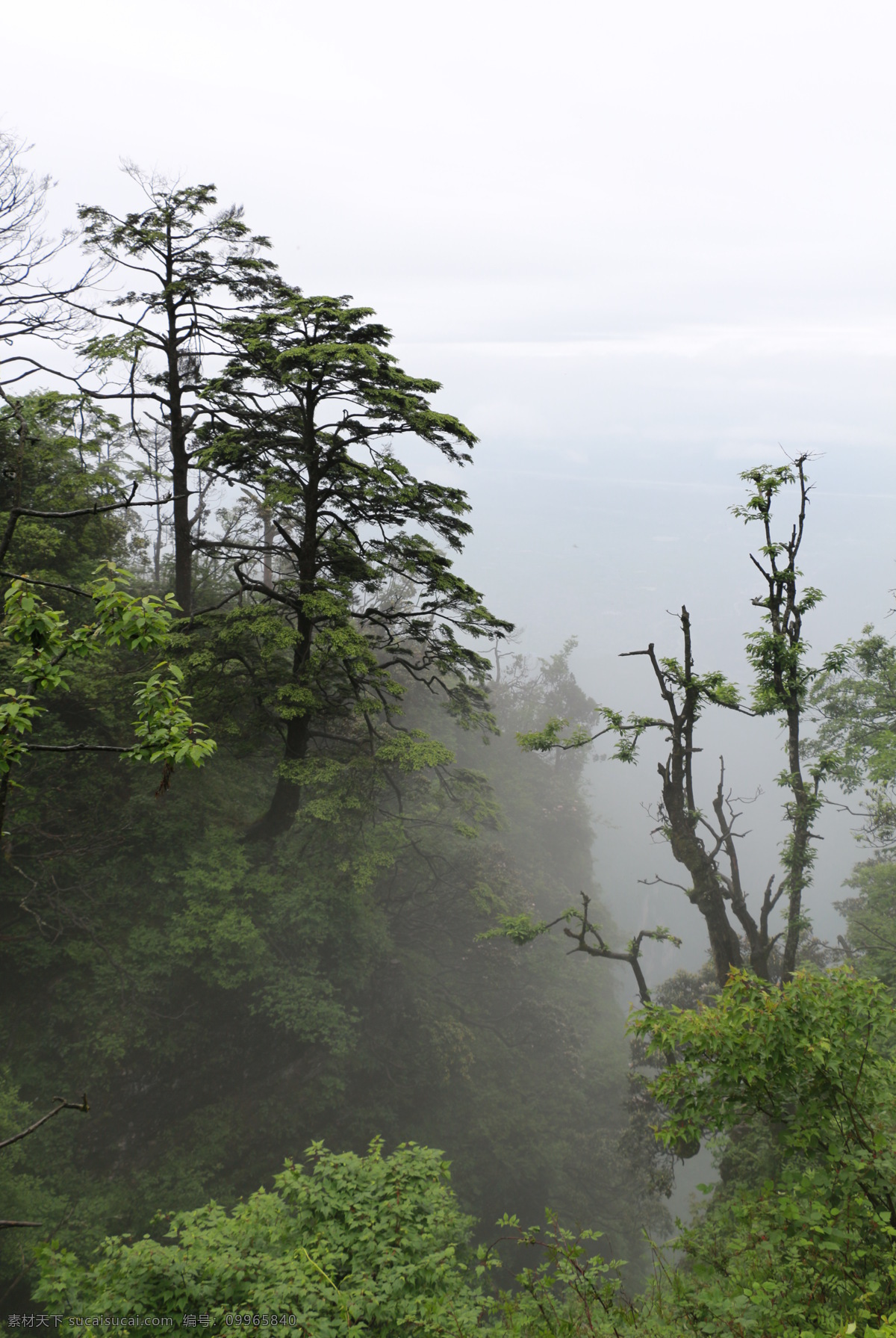 峨眉山 四川峨眉山 峨眉山照片 峨眉山图片 峨眉山素材 四川景点 峨眉山旅游 峨眉山海报 峨眉山淘宝 峨眉山祈福 旅游海报 旅游峨眉山 峨眉山金顶 四川乐山 金顶风光 金顶建筑 峨眉金顶 佛教圣地 高清 自然景观 风景名胜 白色