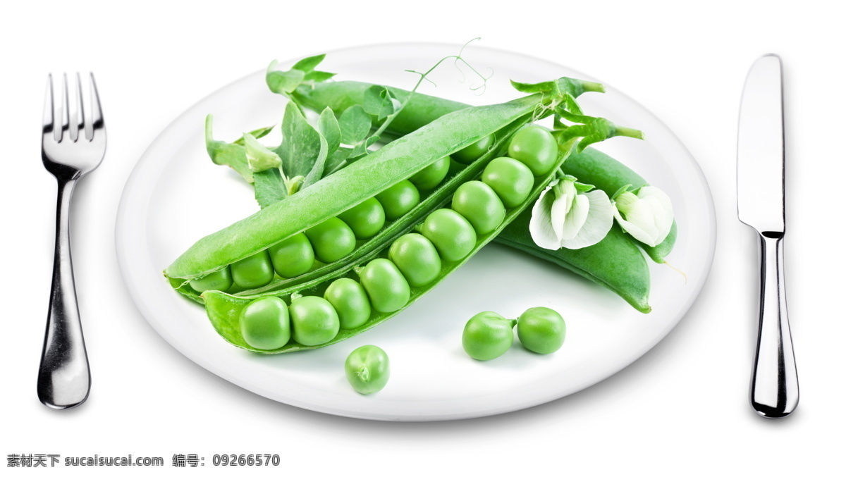 豌豆图片素材 新鲜蔬菜 豌豆 豆角 刀叉 西餐盘子 餐盘 蔬菜图片 餐饮美食