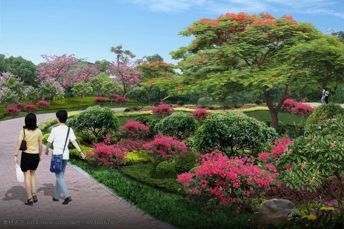 小园路 凤凰木 三角梅 鸡蛋花 灌木 园路 环境设计 景观设计