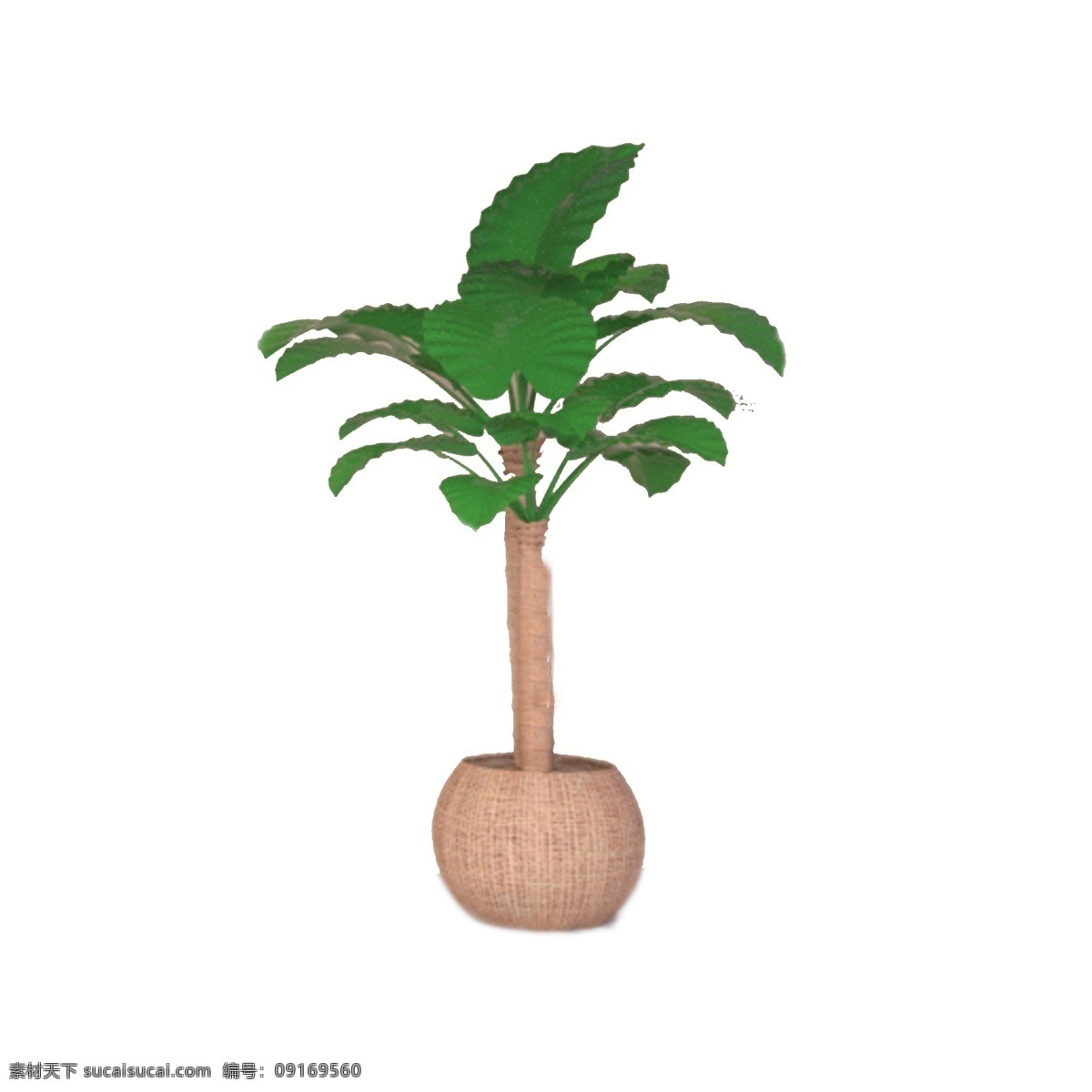 卡通 盆子 室内 绿植 盆栽植物 室内绿植 卡通植物 绿色植物 卡通插图 创意卡通下载 插图 png图下载