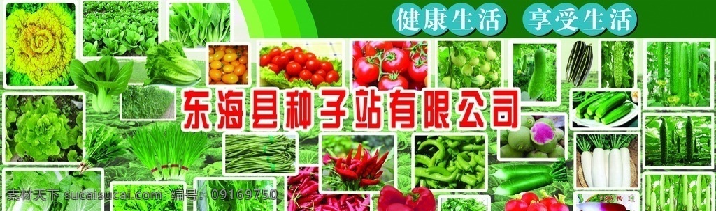 种子广告 种子 蔬菜 健康绿色 喷绘 广告 豆角 萝卜 青菜 招贴设计
