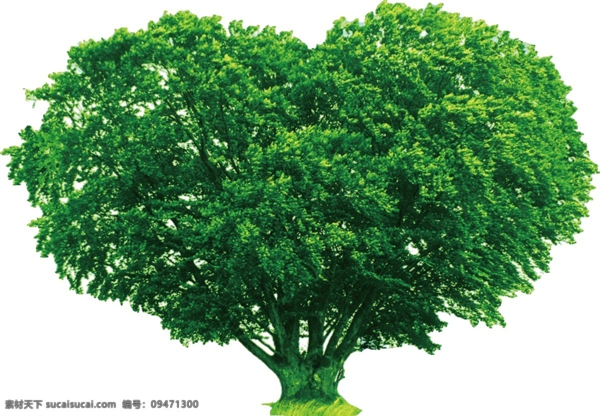 树 大树 爱心形树 绿色 植物 天然 生物世界 树木树叶