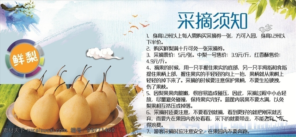葡萄采摘券 葡萄券 门票 吃葡萄 dm 葡萄单 水果 篮子 葡萄篮采摘券 代金券 葡萄 卡片 抵用券 各种使用劵 名片卡片 绿色背景 水果背景 果园