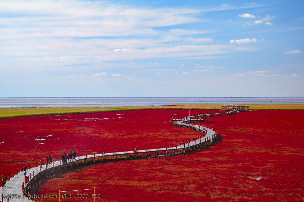 盘锦 红海滩 东北 海滩 红色 自然景观 自然风景