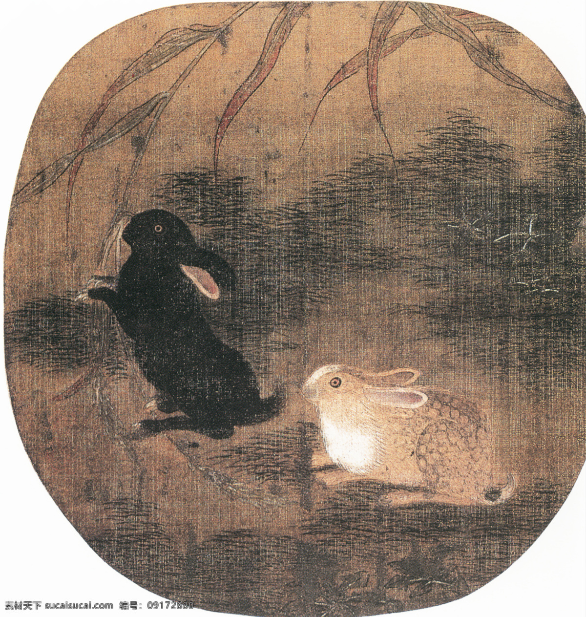 中国 花鸟画 名家作品 书画 真迹 双 兔 图 古画 花鸟 书画真迹 小草 小兔 双兔图 中国花鸟画 团扇 绢本 设色 淡设色 纨扇画 陂陀 苇叶 一黑一白 文化艺术