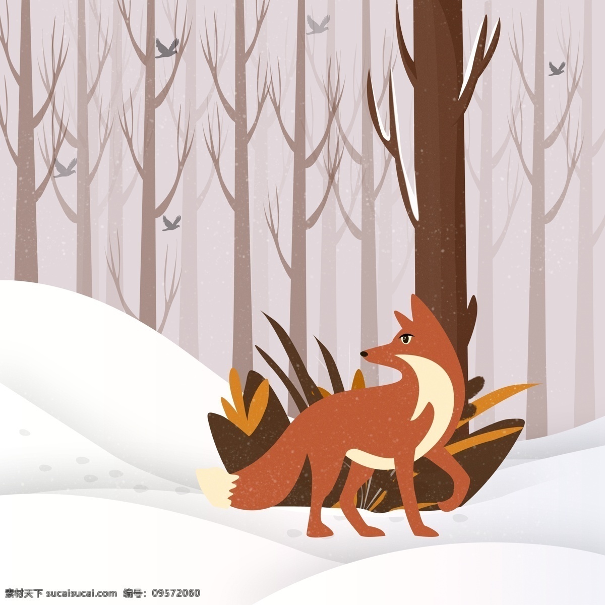 冬季 雪 树林 里 觅食 小 狐狸 冬季元素 冬天雪地 漫步的狐狸