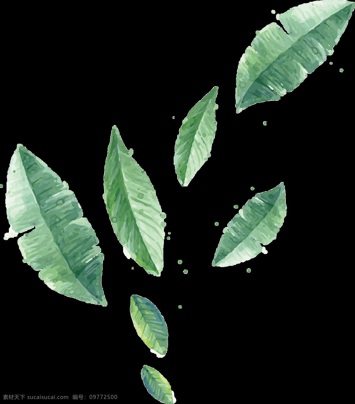 一片片 大小 不同 树叶 透明 植物 绿色 免扣素材 透明素材 叶片 叶子 装饰图片