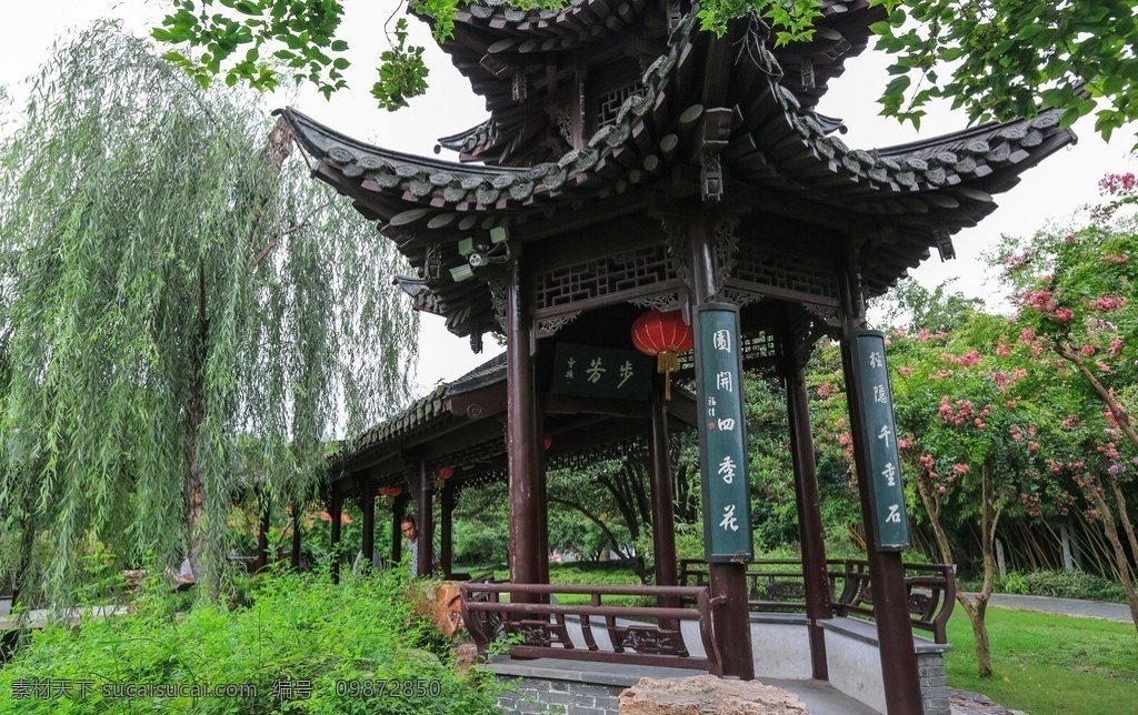 扬州个园 江苏 园林艺术 古典园林 庭园 幽静 绿树葱茏 风景优美 竹林 文物保护单位 自助游 国内旅游 旅游摄影 个园