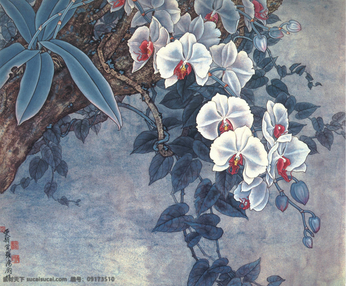 雨林蝶影 美术 中国画 工笔画 花卉画 花木 花朵 蝴蝶花 金鸿钧国画 金鸿钧 作品 绘画书法 文化艺术