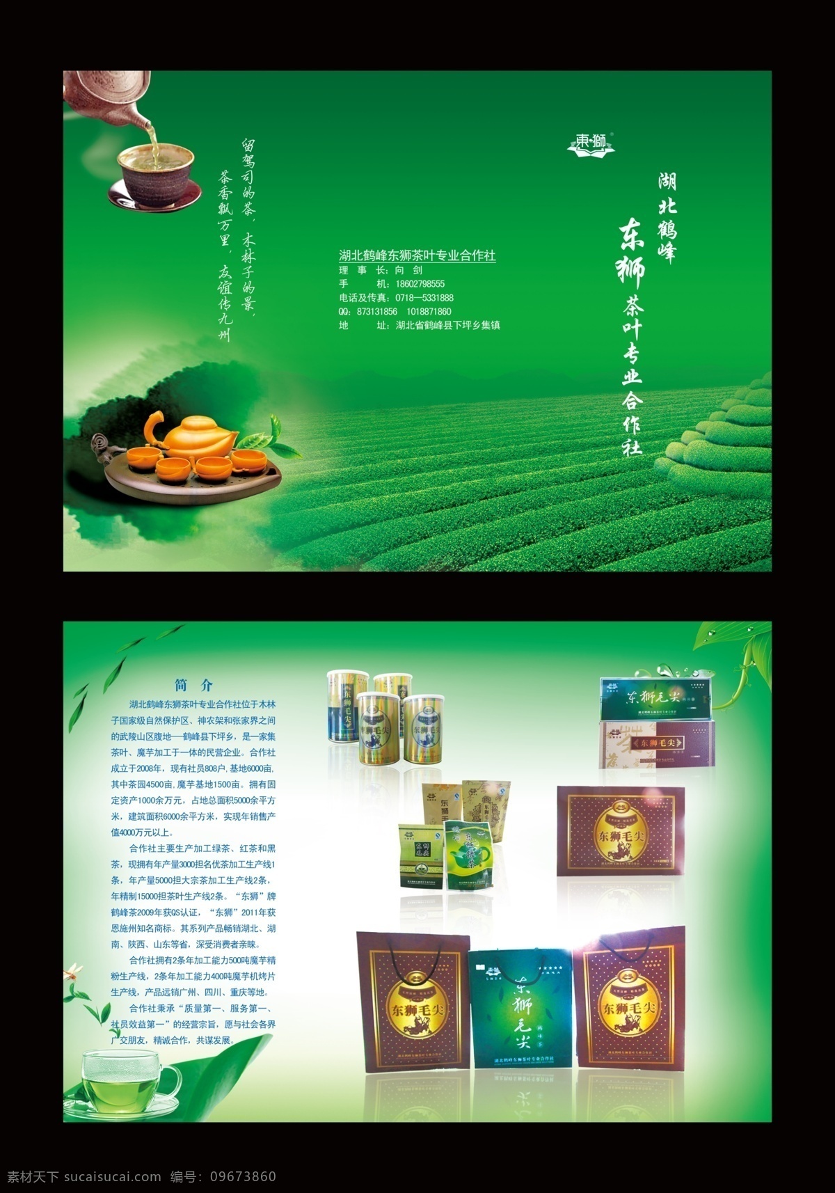 dm宣传单 茶 茶叶 茶叶宣传单 宣传单 广告设计模板 三折页 源文件 模板下载 psd源文件 餐饮素材