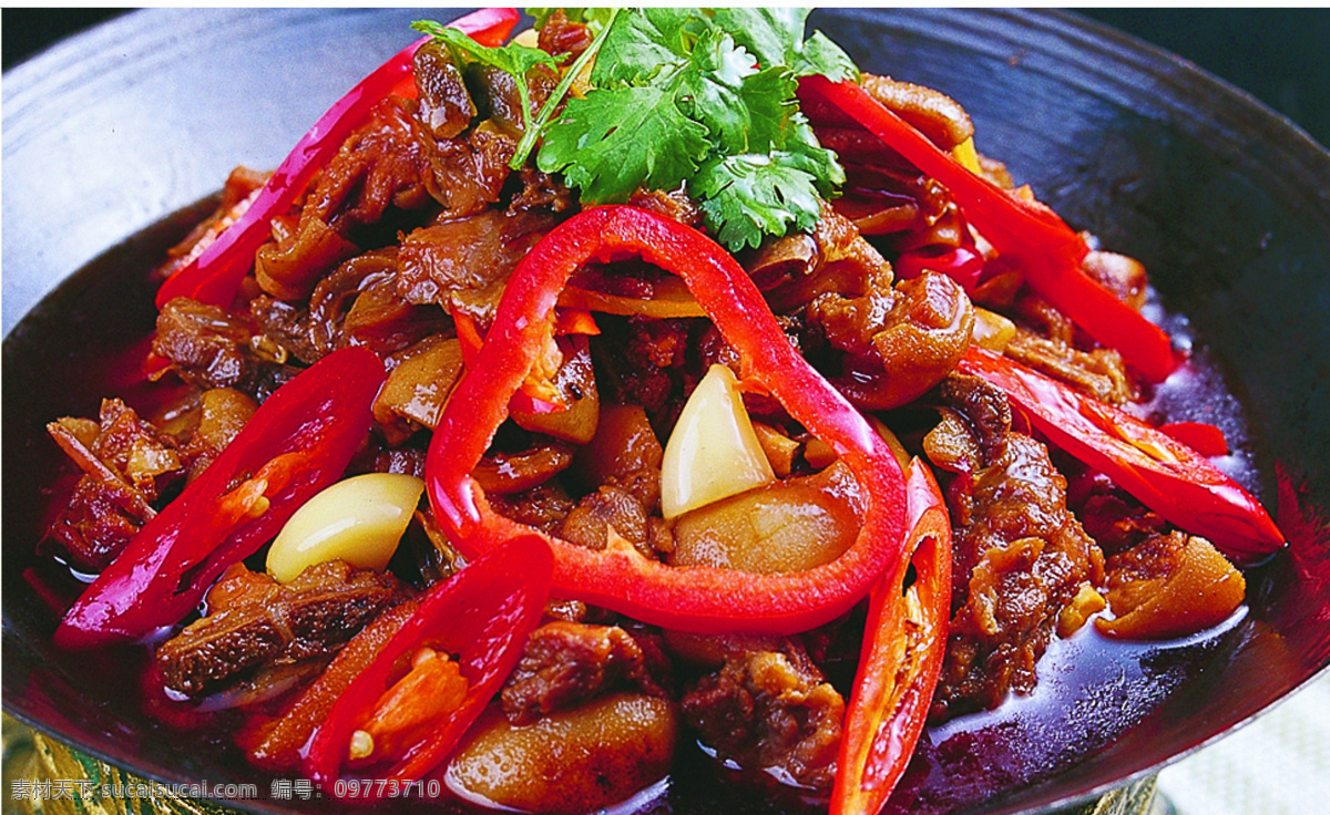 滋补狗肉锅仔 狗肉锅仔 红烧狗肉 干锅狗肉 红焖狗肉煲 砂锅狗肉 红焖狗肉 狗肉煲 狗肉 锅仔 餐饮美食 传统美食