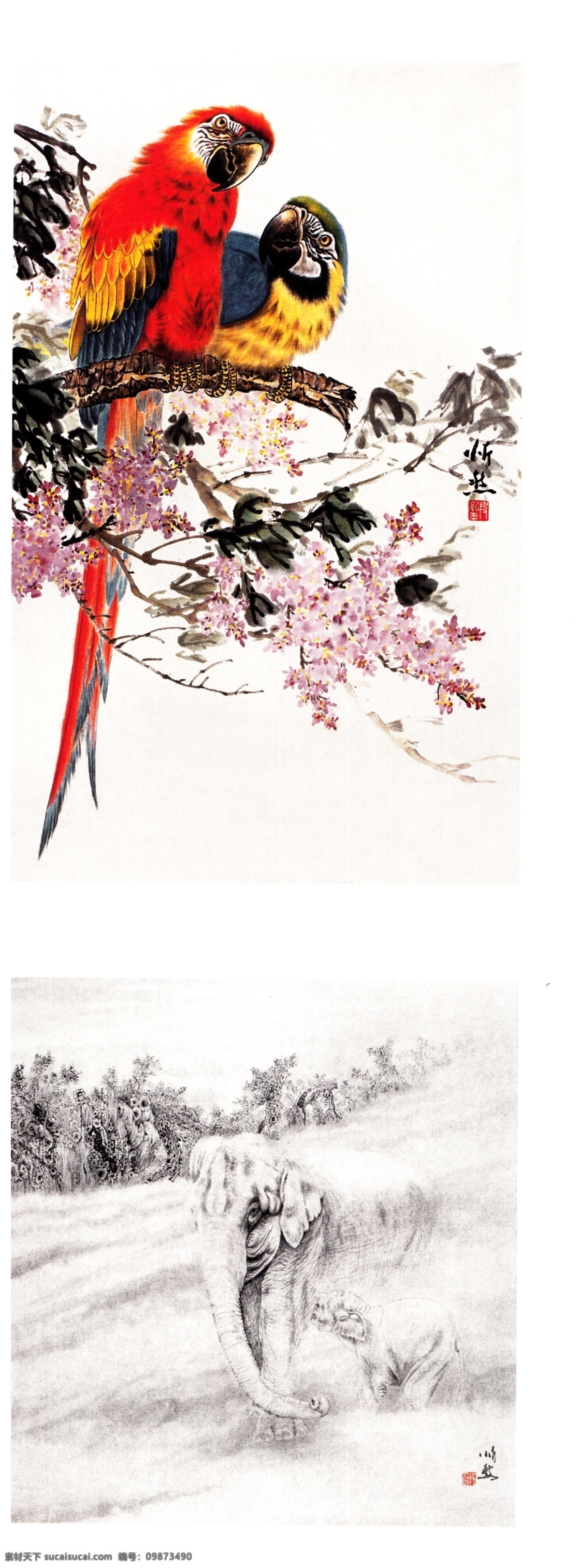 鹦鹉国画 鹦鹉 彩色鹦鹉 枝头鹦鹉 鹦鹉水彩画 水墨迎鹦鹉 春天国画 国画花鸟画 国画素材 中餐装饰 包间挂画 装饰画 无框画 国画集 绘画书法 文化艺术
