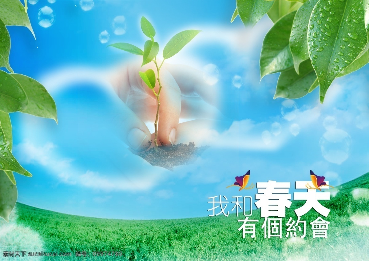 春天 约会 背景 茶叶 蒲公英 手 写真 心 心心相应 海报 海报背景图