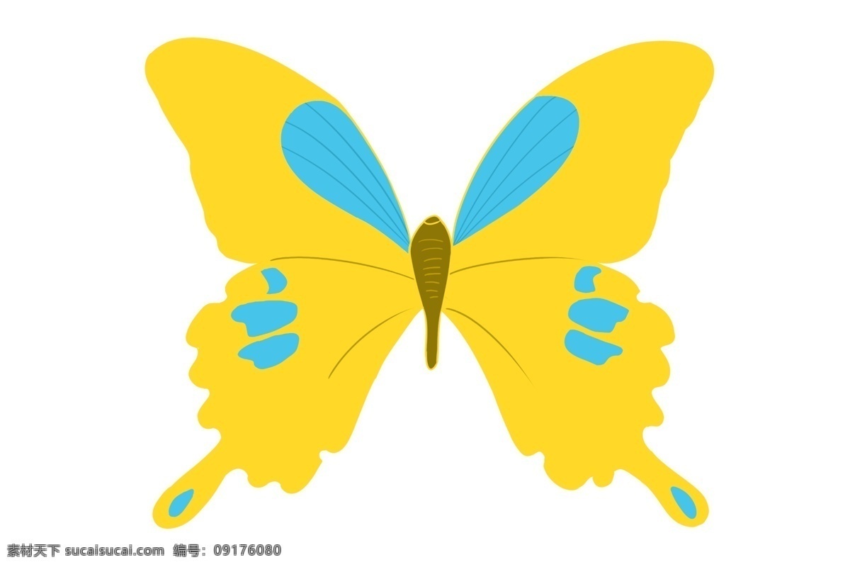 黄色 蝴蝶 动物 插画 美丽的蝴蝶 卡通插画 黄色的蝴蝶 动物插画 蝴蝶插画 动物蝴蝶 昆虫 益虫