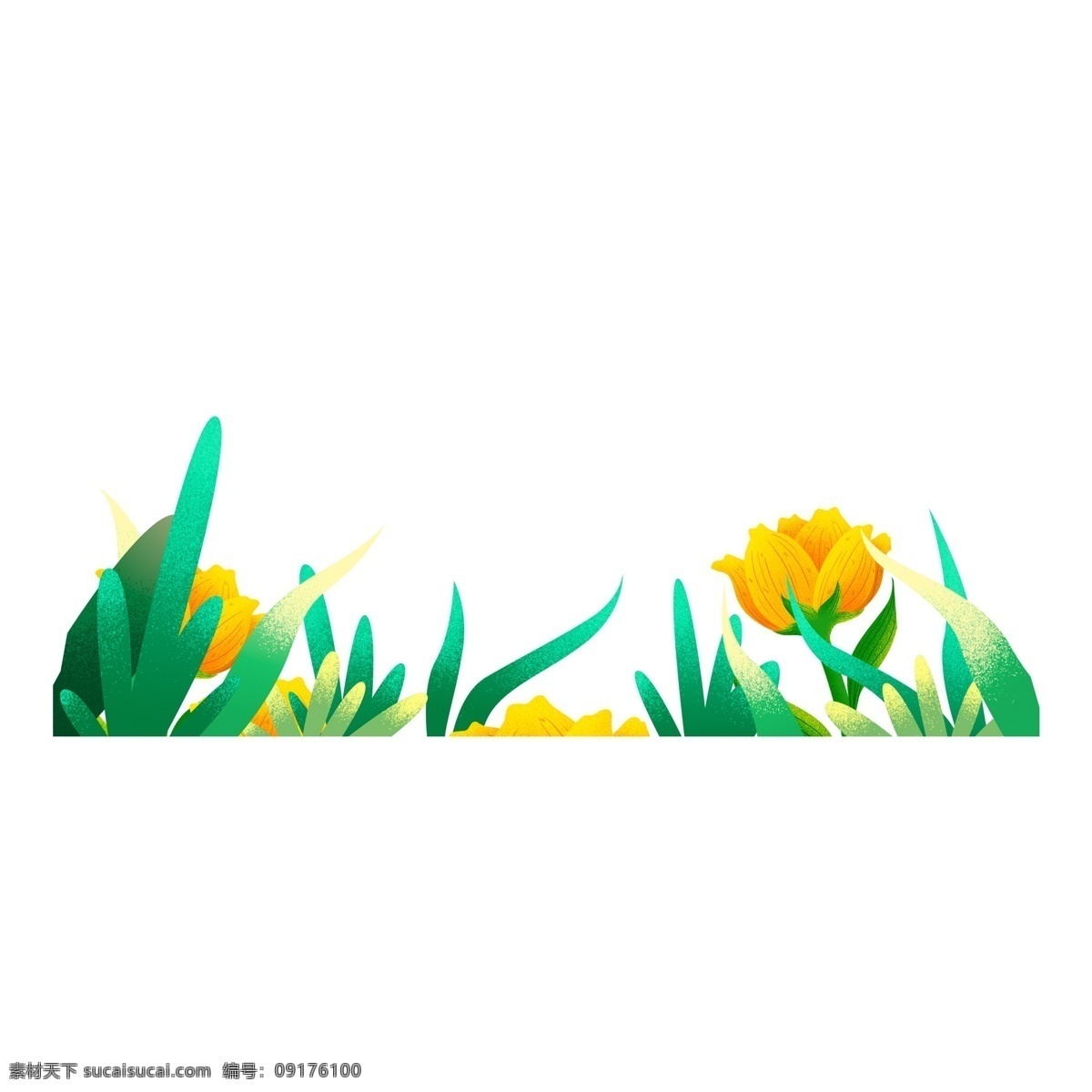 水彩 植物 花朵 装饰 免 抠 图 扣 透明素材 卡通素材 花卉