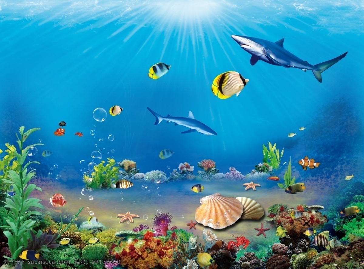 海珊瑚海报 深海背景 海水 海星 热带鱼 海母 海螺 珊瑚礁 海草 贝壳 石头 分层 源文件