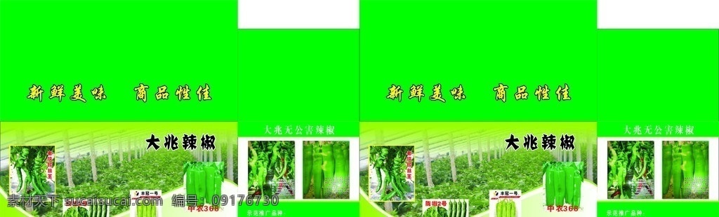 辣椒包装 辣椒 无公害辣椒 各种辣椒图片 大棚辣椒 包装设计 矢量